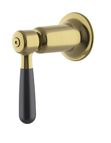 Waterworks Riverun Two-Tone Lever Volume Control Handle in Burnished Brass/Matte Black