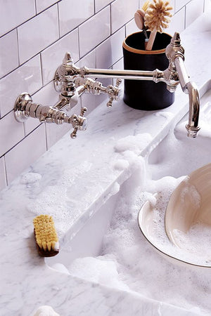 Waterworks Julia Wall Mounted Two Hole Bridge Articulated Kitchen Faucet, Metal Cross Handles in Nickel