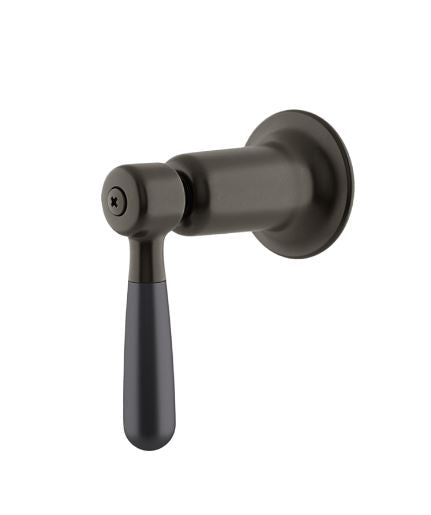 Waterworks Riverun Two-Tone Lever Volume Control Handle in Dark Brass/Matte Black