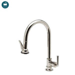 Waterworks Henry One Hole Gooseneck Integrated Pull Spray Kitchen Faucet with Lever Handle in Brass