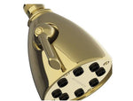 Waterworks Universal 3 1/2"Shower Head with Adjustable Spray in Brass