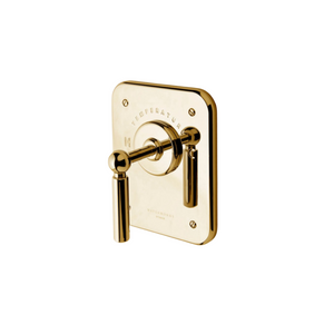 Waterworks Ludlow Thermostatic Control Valve Trim in Brass