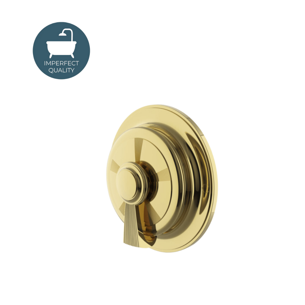 Waterworks Foro Thermostatic Control Valve Trim with Metal Lever Handle in Brass