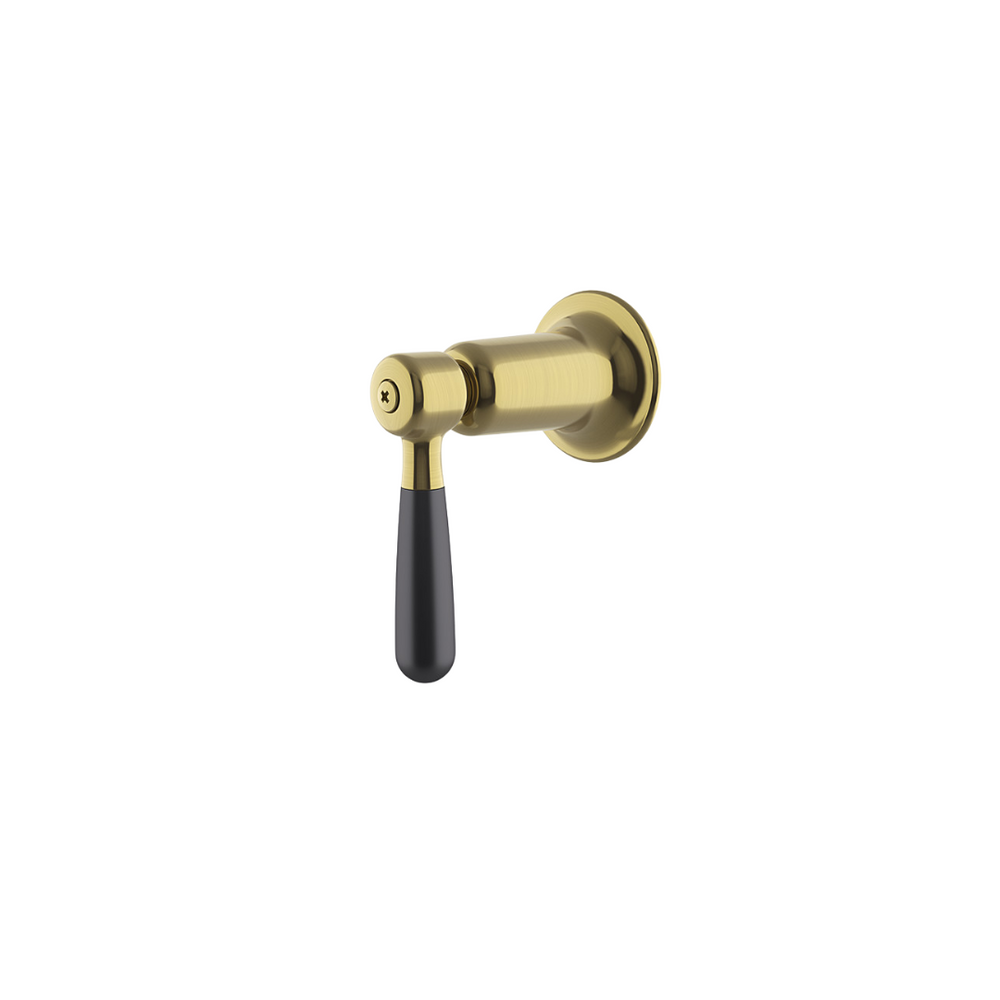 Waterworks Riverun Two-Tone Lever Volume Control Handle in Burnished Brass/Matte Black