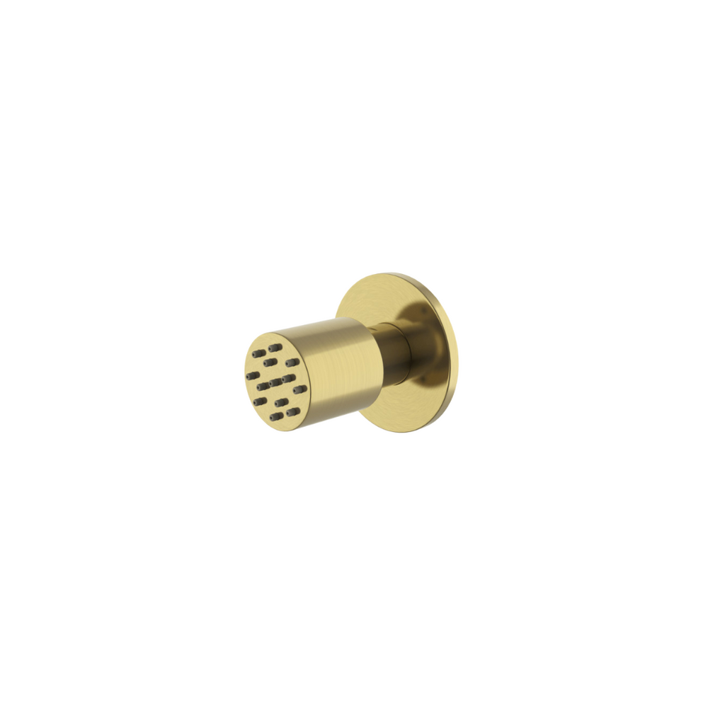 Waterworks Universal 1 3/8" Cylindrical Body Spray in Burnished Brass