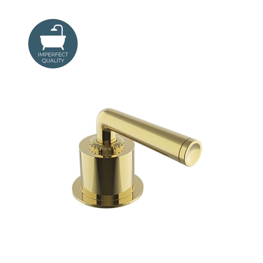 Waterworks Henry Volume Control with Lever Handle in Brass
