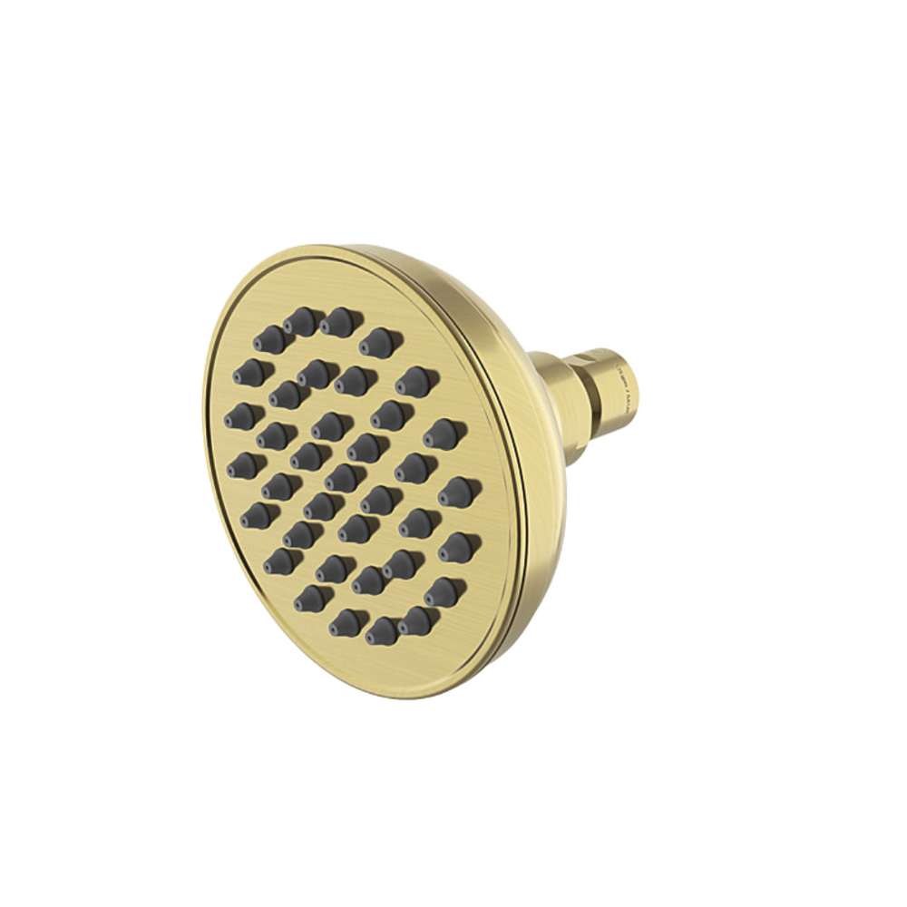 Waterworks Universal Classic 4" Showerhead in Burnished Brass