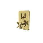 Waterworks Waterworks Ludlow Integrated Thermostatic and Volume Control Trim with Cross Handle in Burnished Brass