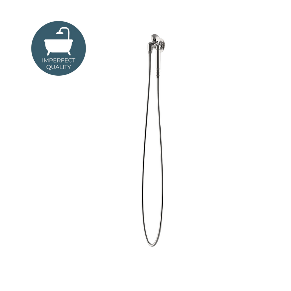 Waterworks Henry Handshower on Hook in Burnished Nickel