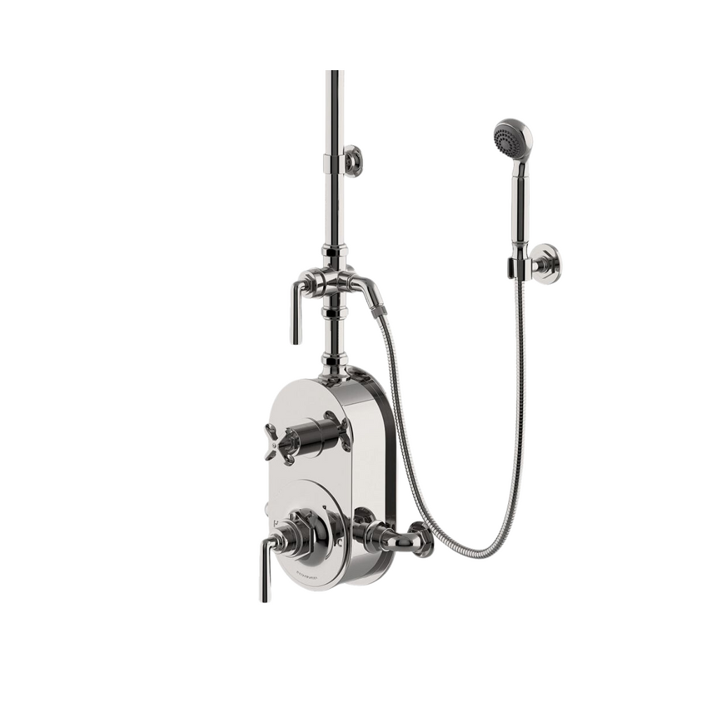 Waterworks  Henry Handshower on Hook with Diverter and Lever Handle in Dark Brass