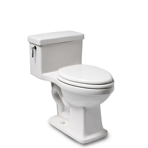 Waterworks Alden One Piece High Efficiency Elongated Watercloset in Bright White with Slow Close Plastic Seat and Brass Flush Lever