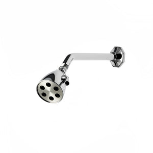 Waterworks Roadster Shower Arm and Flange Only in Nickel