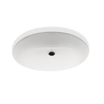 Waterworks Clara Undermount Oval Vitreous China Single Glazed Lavatory Sink 19 11/16" x 16 1/8" x 7 11/16" in White