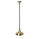 Waterworks Percy Ceiling Mounted Single Pendant in Unlacquered Brass with Old Bronze