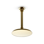 Waterworks Henry 8" Ceiling Mounted Rose, Arm and Flange in Vintage Brass