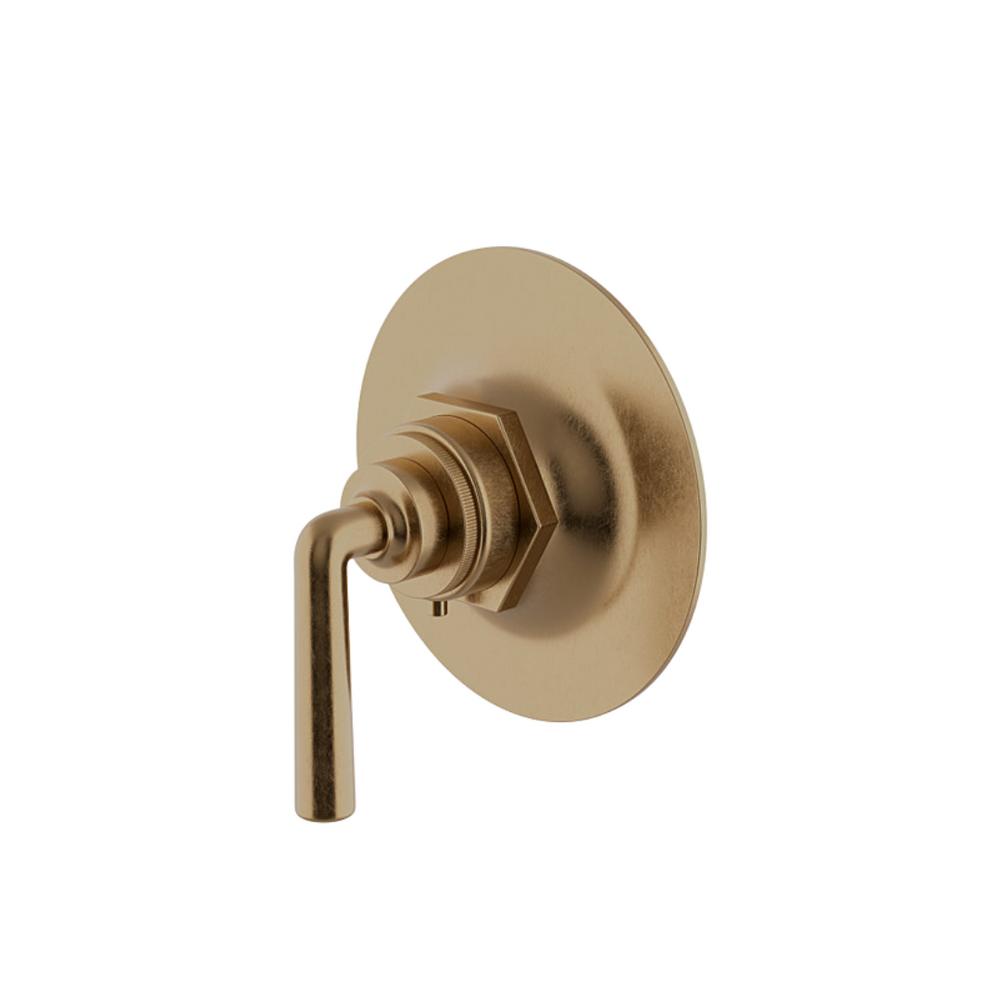 Waterworks Henry Thermostatic Control Valve Trim with Metal Lever Handle in Vintage Brass