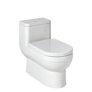 Waterworks Axel One Piece Dual Flush Watercloset in Modern White