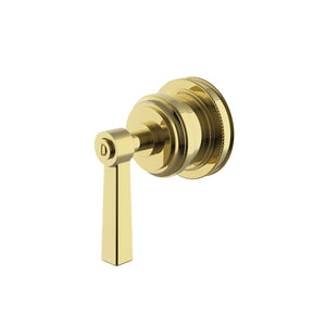 Waterworks Aero Volume Control Valve Trim with Metal Lever Handle in Unlacquered Brass For Sale Online