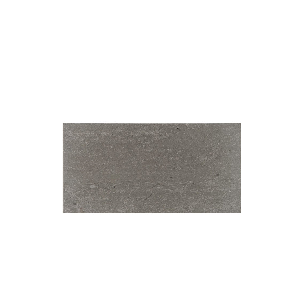 Waterworks Studio Stone Field Tile 6" x 12" in Argent Polished