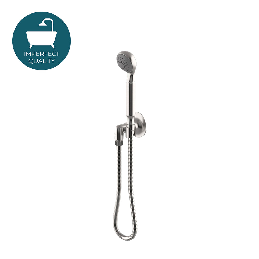 Waterworks Dash Handshower on Hook with Metal Handle in Matte Nickel