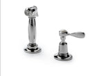 Waterworks Easton Classic Spray, Metal Lever Handle in Chrome