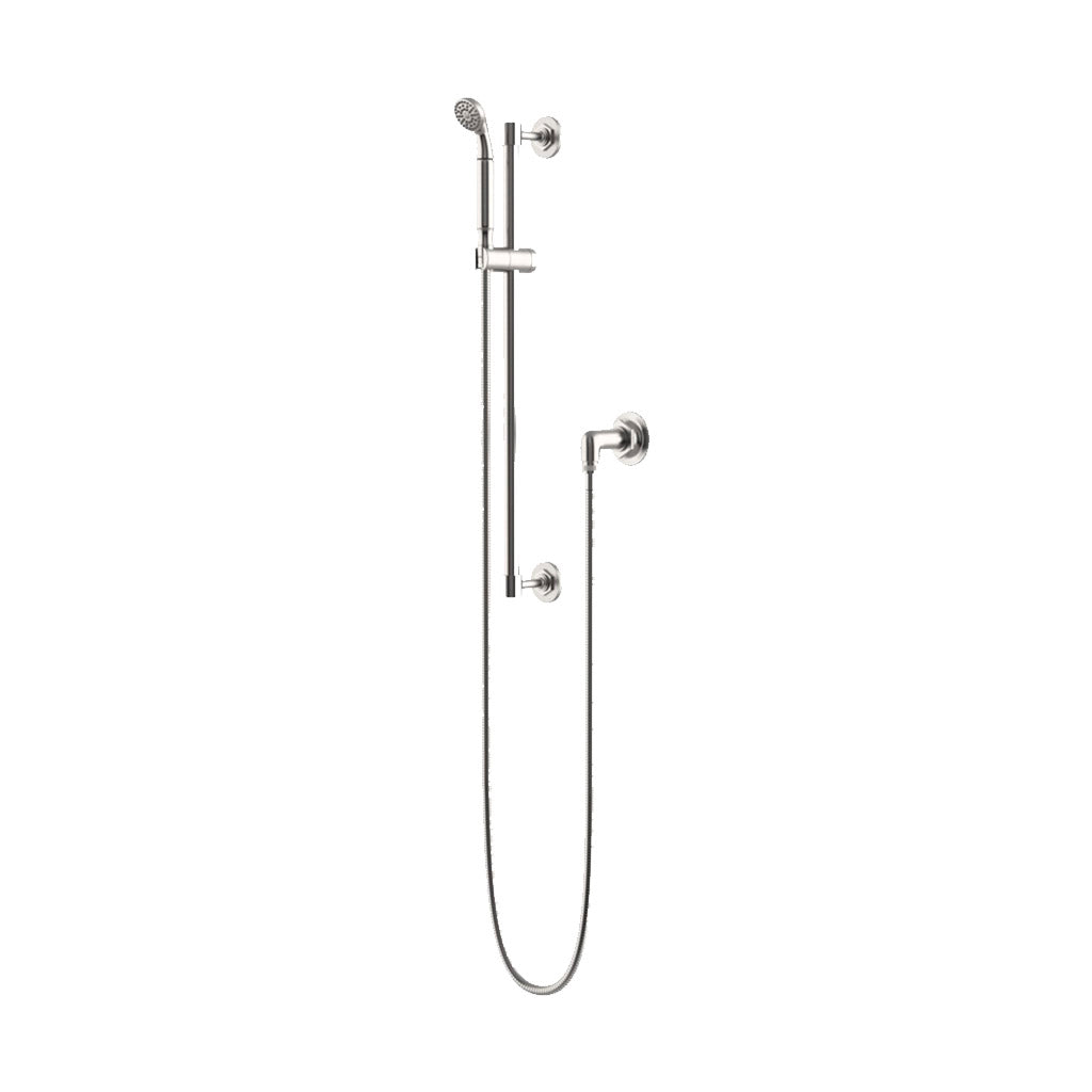 Waterworks Henry Handshower On Hook In Nickel 