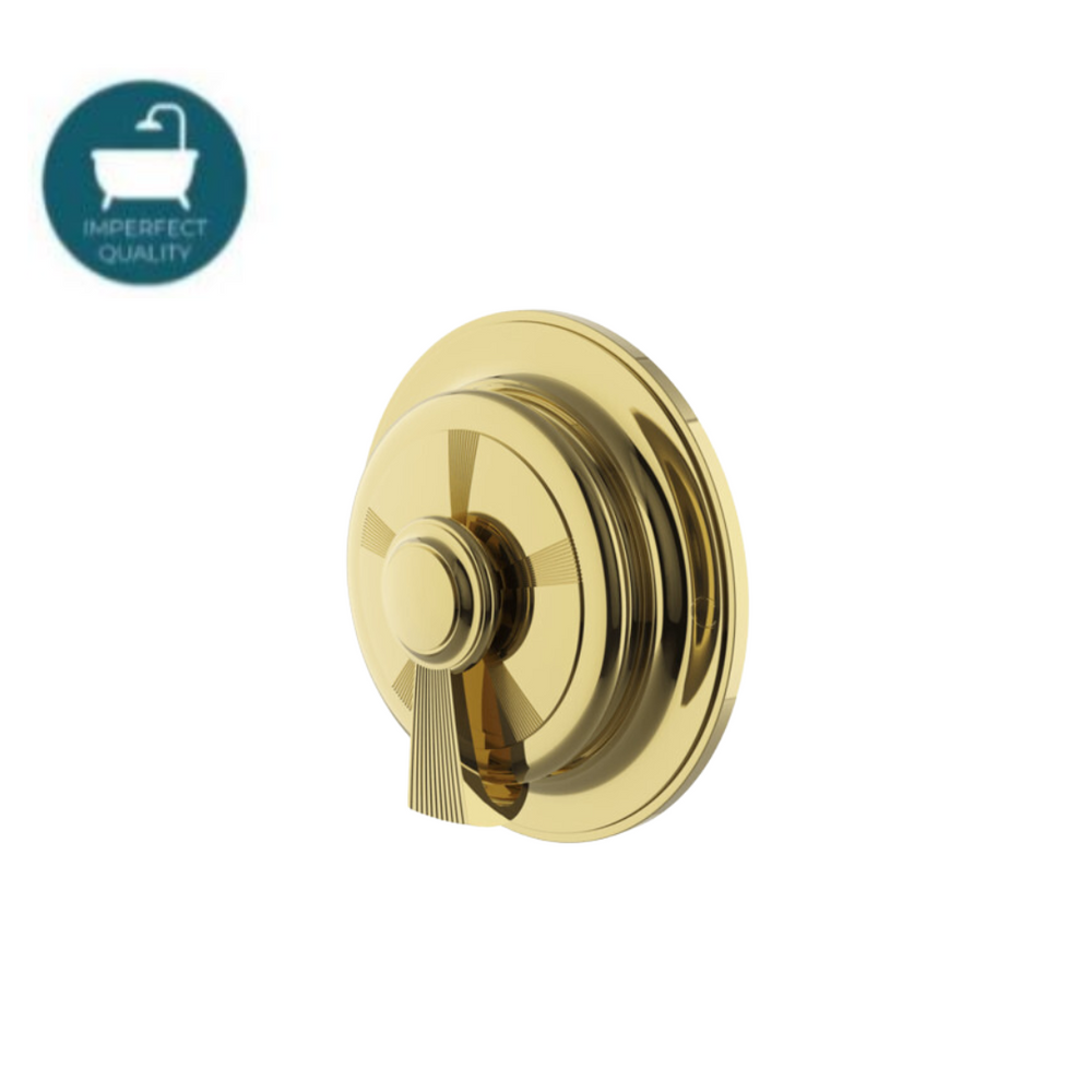 Waterworks Foro Thermostatic Control Valve Trim with Metal Lever Handle in Unlacquered Brass
