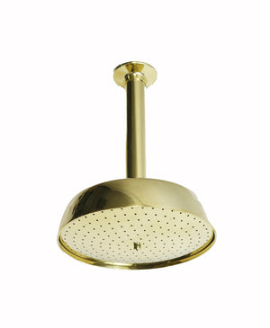 Waterworks .25 Ceiling Mounted Shower in Brass