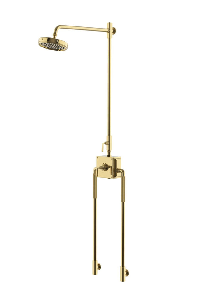 Waterworks RW Atlas Exposed Thermostatic System with 8" Shower Rose, Arm, and Metal Lever Handles in Unlacquered Brass